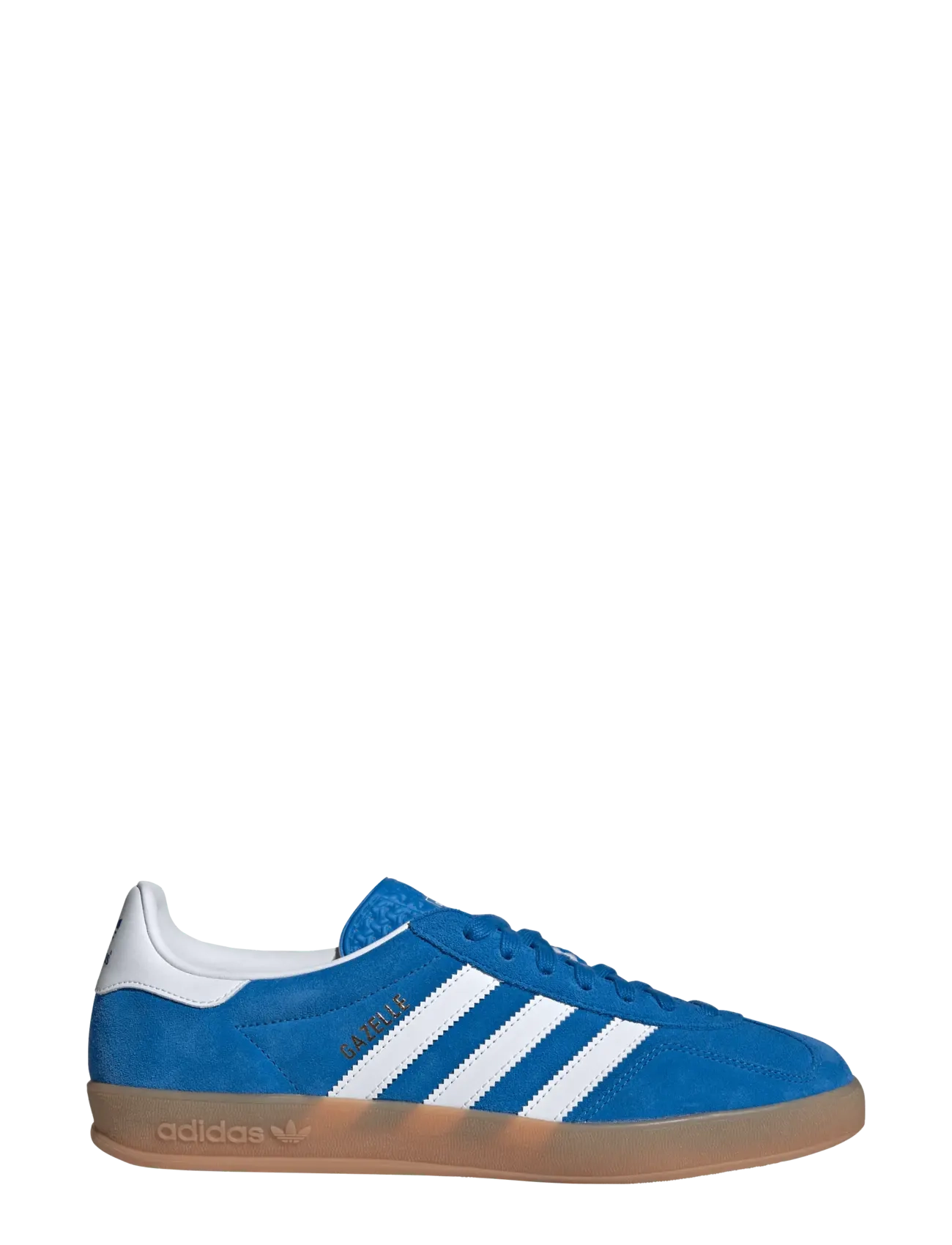 Gazelle Indoor 2