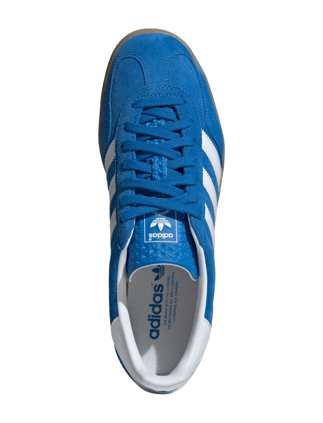 Gazelle Indoor 5