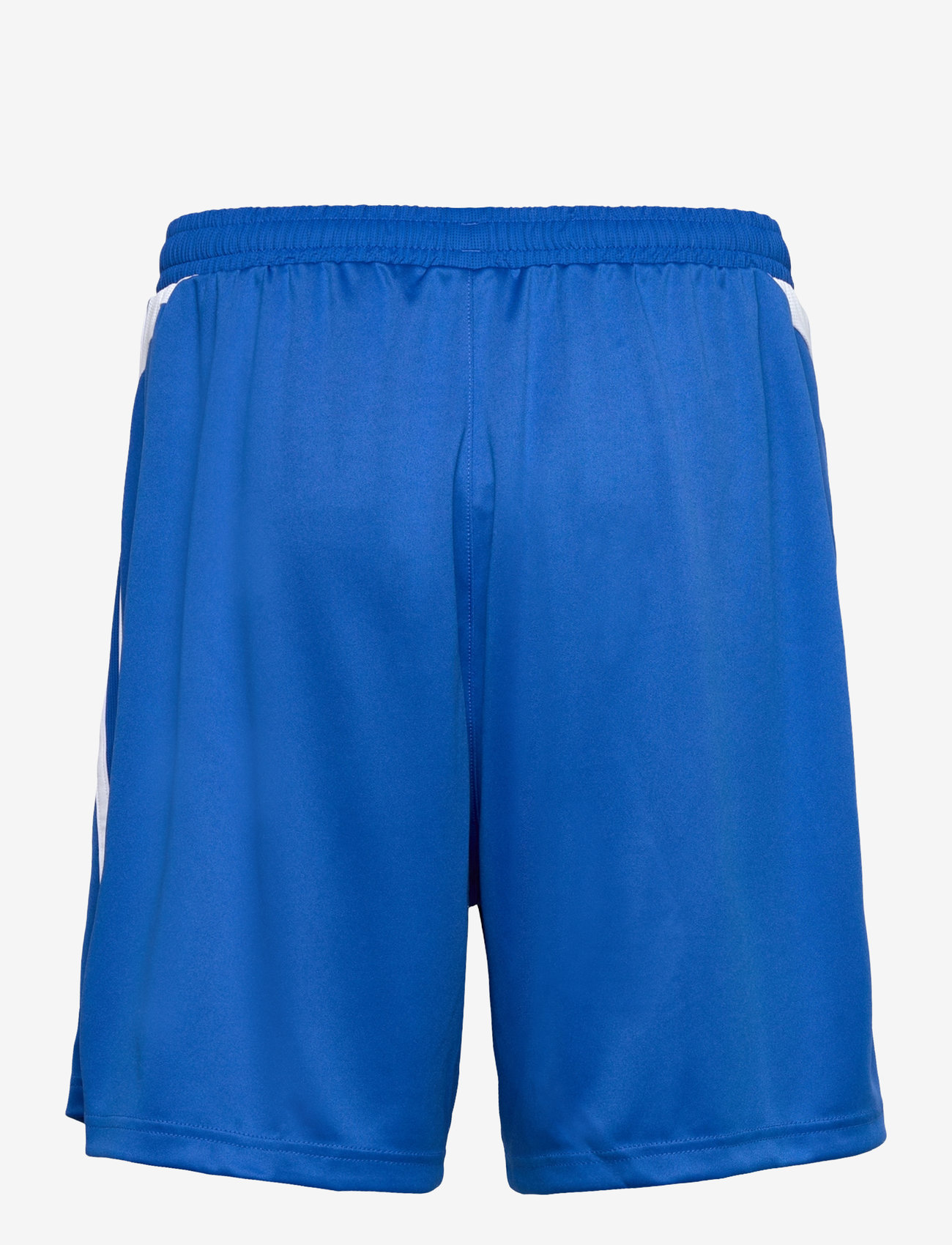 adidas Originals - TEAMGEIST SHO - lühikesed treeningpüksid - blue/white - 2