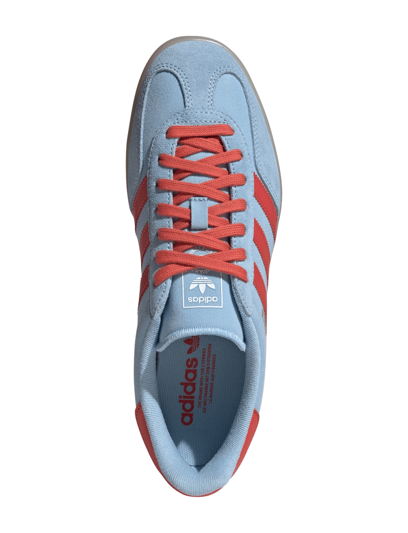 Gazelle Indoor 5