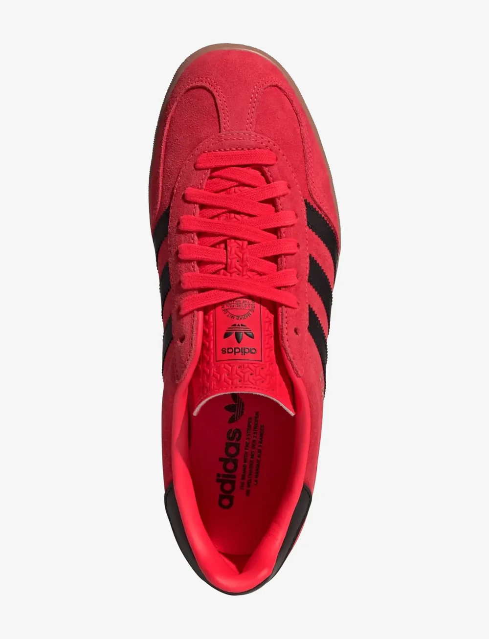 adidas Originals - GAZELLE INDOOR - låga sneakers - lucred/cblack/goldmt - 4