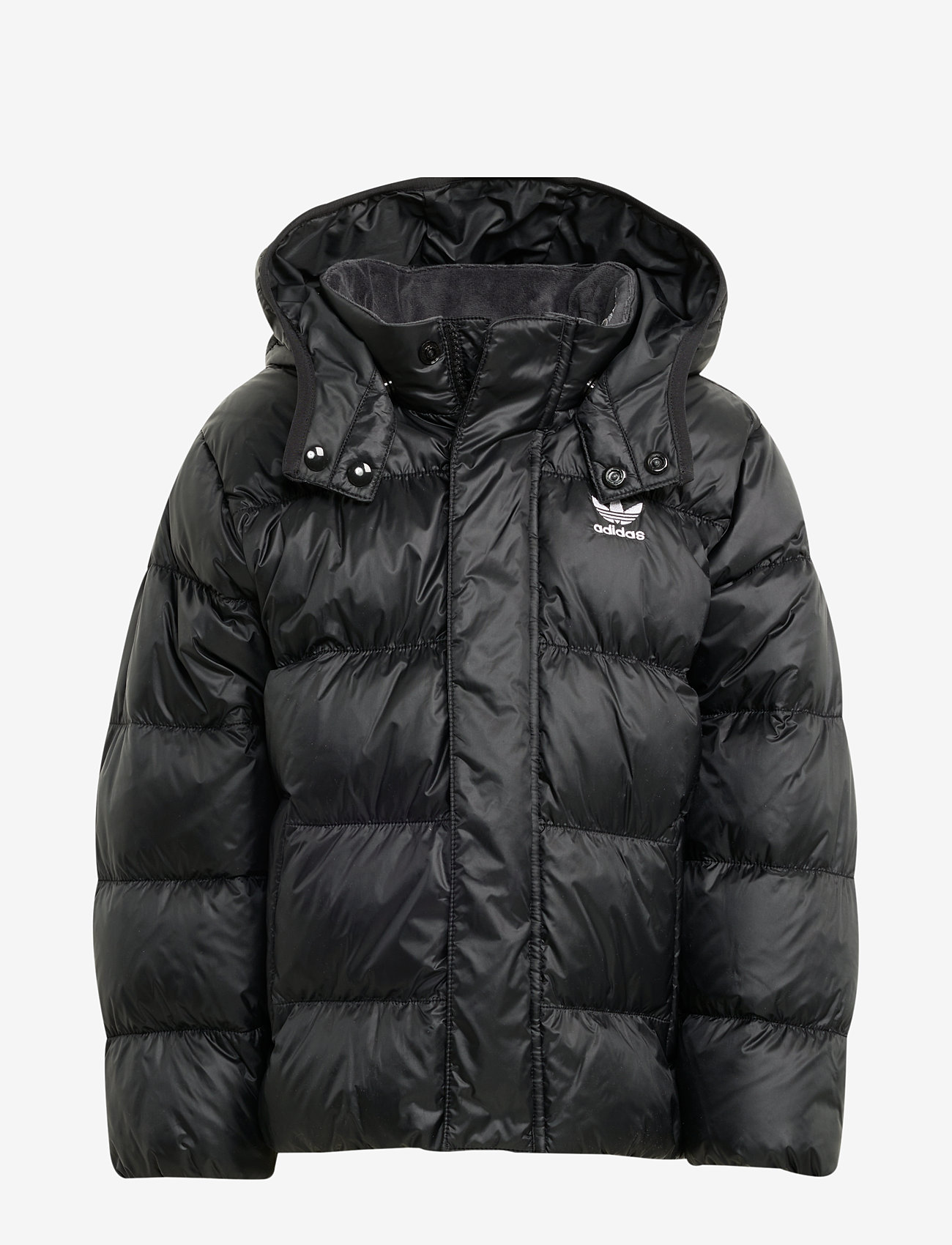 adidas Originals - DOWN JACKET - insulated jackets - black/white - 1