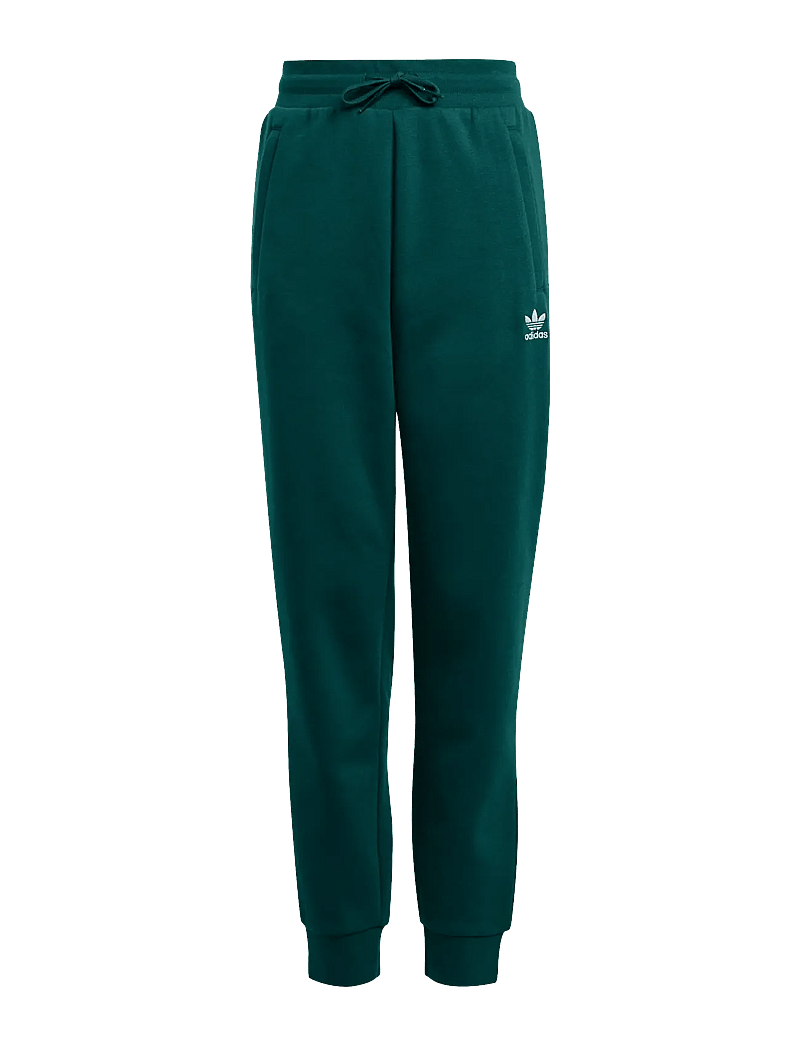 adidas Originals - PANTS - sweatpants - aurivy - 1