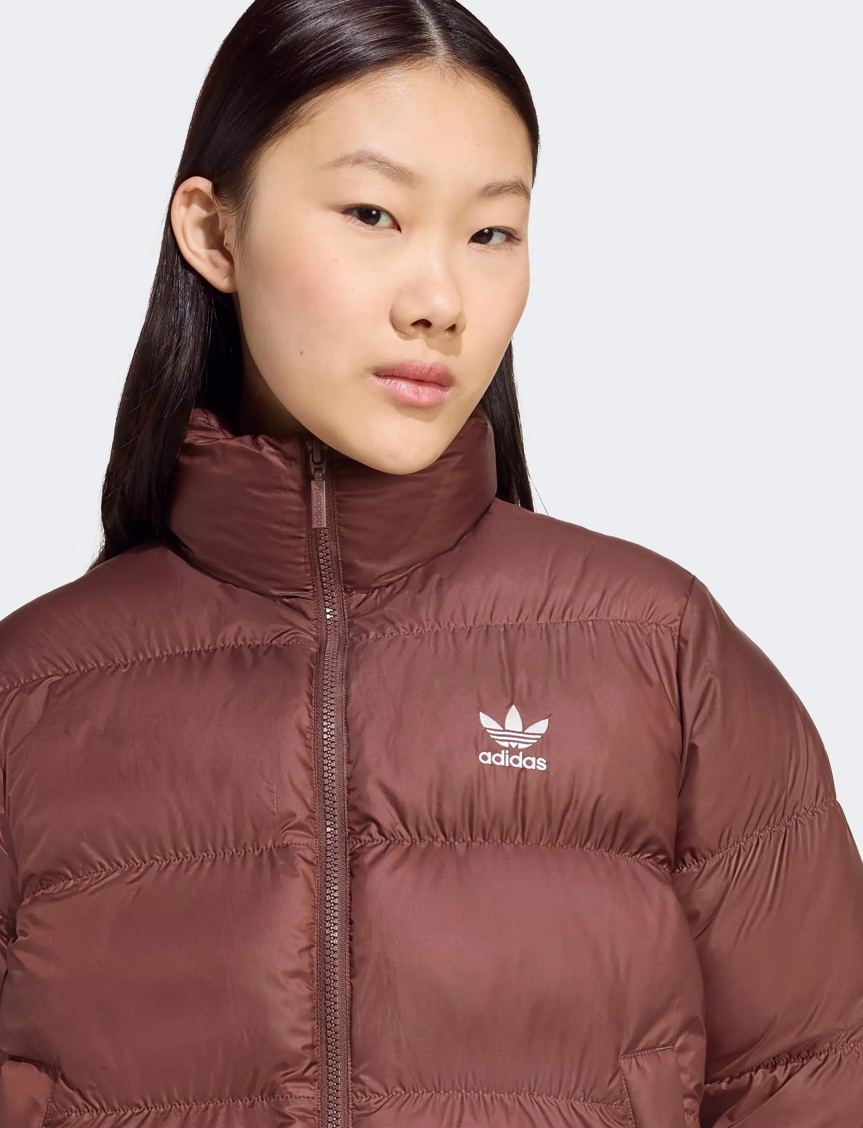 Short Puffer 2