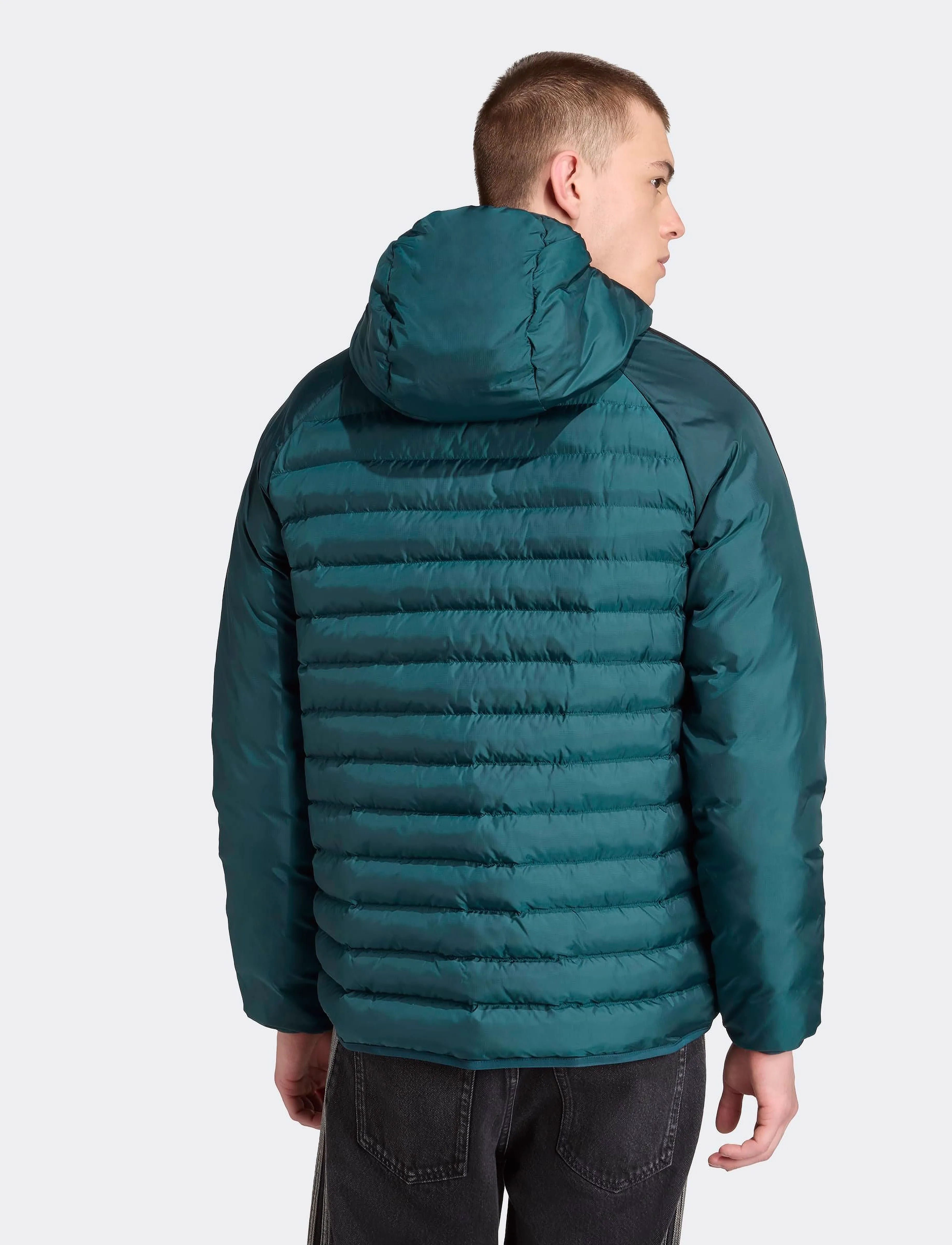 adidas Originals - PAD HOODED JKT - dunjakker - aurivy - 2