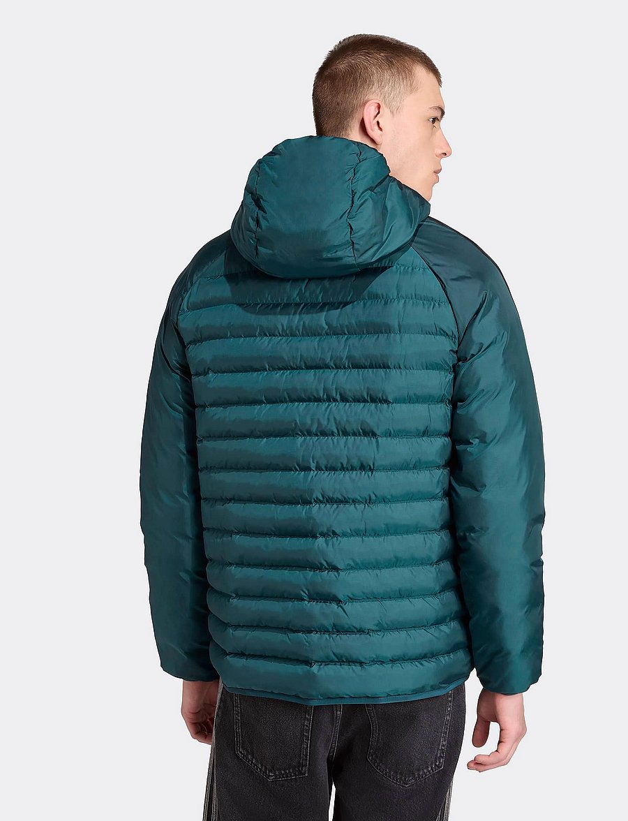 adidas Originals - PAD HOODED JKT - dunjakker - aurivy - 2