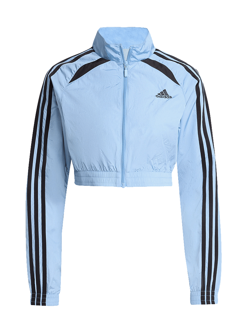 adidas Originals - TEAMGEIST TT - langærmede t-shirts - ashblu - 1