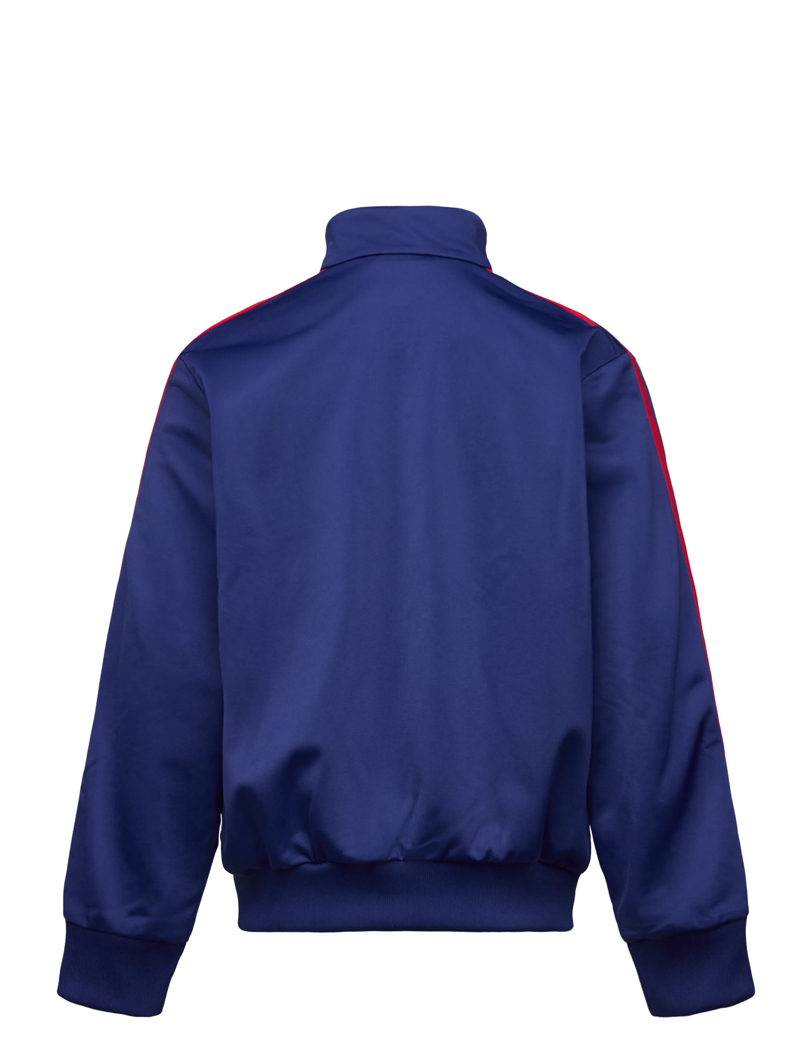 adidas Originals - FIREBIRD LO TT - sweatshirts - vicblu/lgfogo - 2