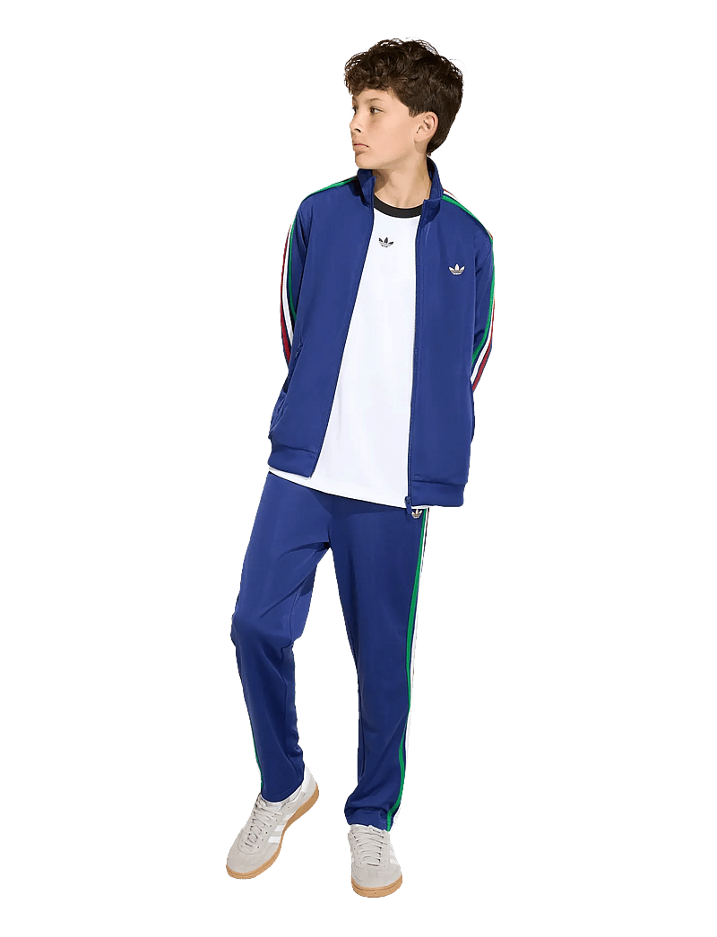adidas Originals - FIREBIRD LO TT - sweatshirts - vicblu/lgfogo - 0