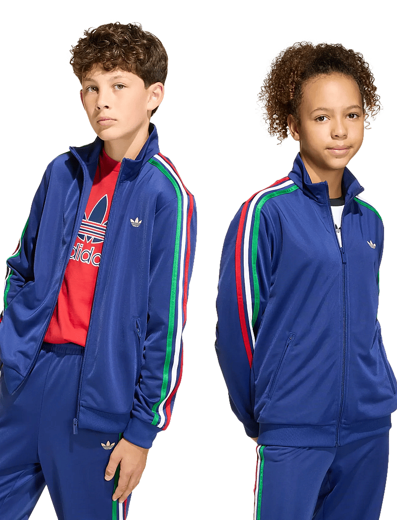 adidas Originals - FIREBIRD LO TT - sweatshirts - vicblu/lgfogo - 3