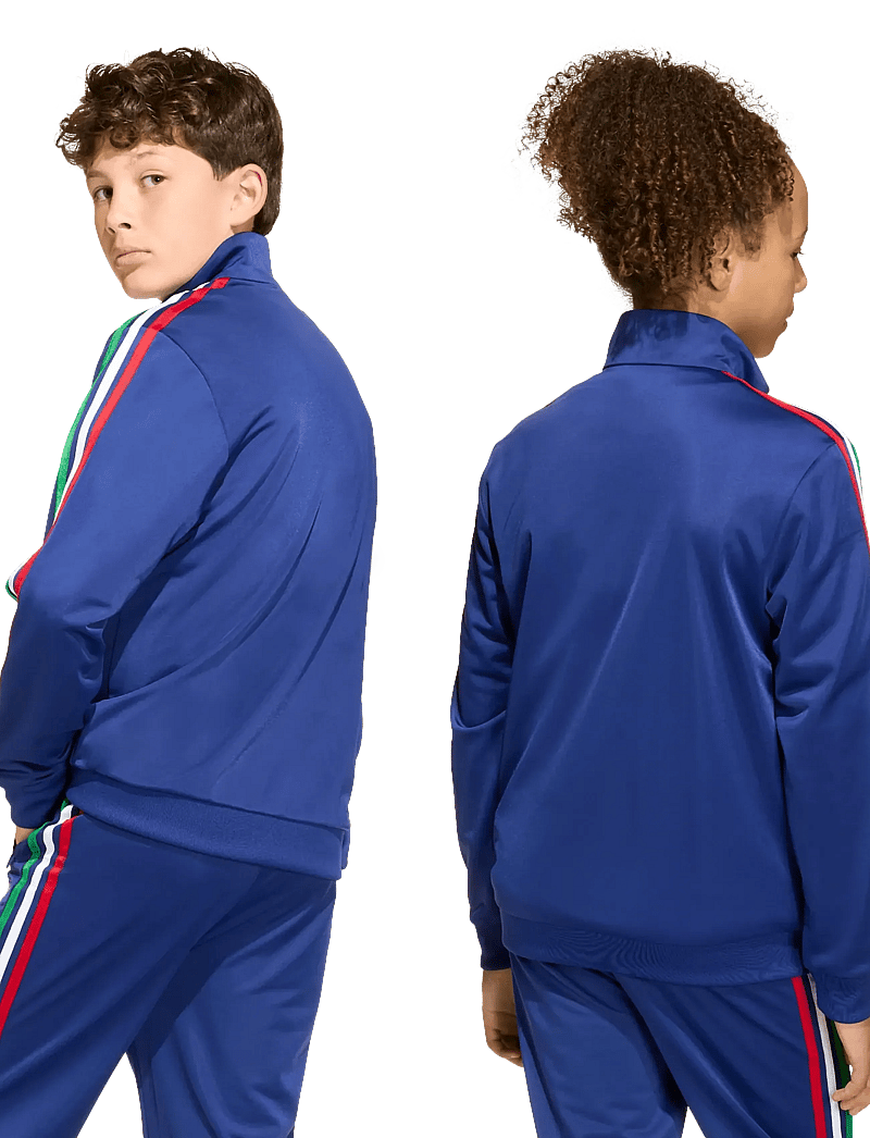 adidas Originals - FIREBIRD LO TT - sweatshirts - vicblu/lgfogo - 4