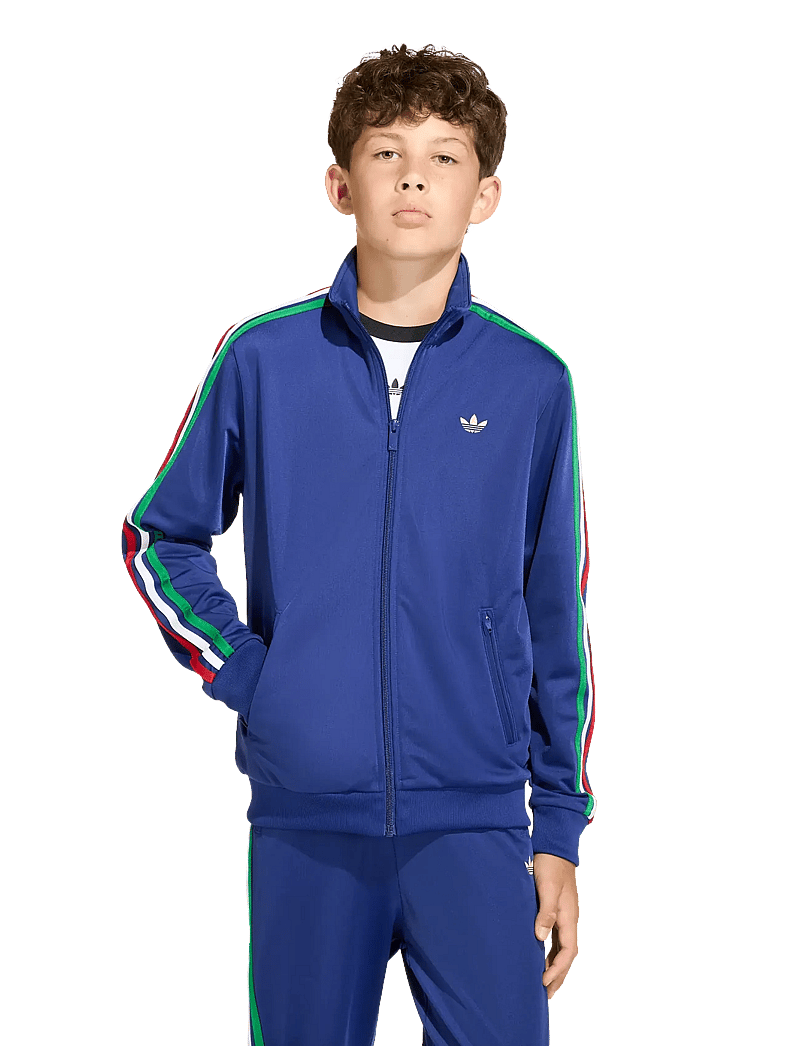 adidas Originals - FIREBIRD LO TT - sweatshirts - vicblu/lgfogo - 5
