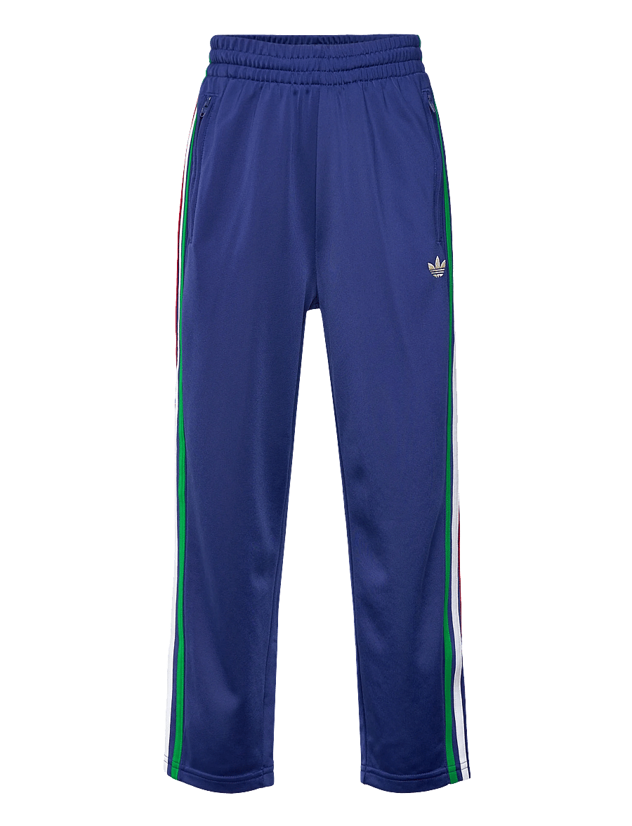 adidas Originals - FIREBIRD TP - jogginghosen - vicblu/lgfogo - 1