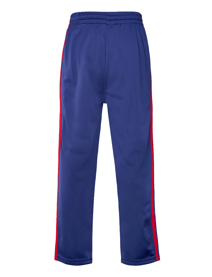 adidas Originals - FIREBIRD TP - jogginghosen - vicblu/lgfogo - 2