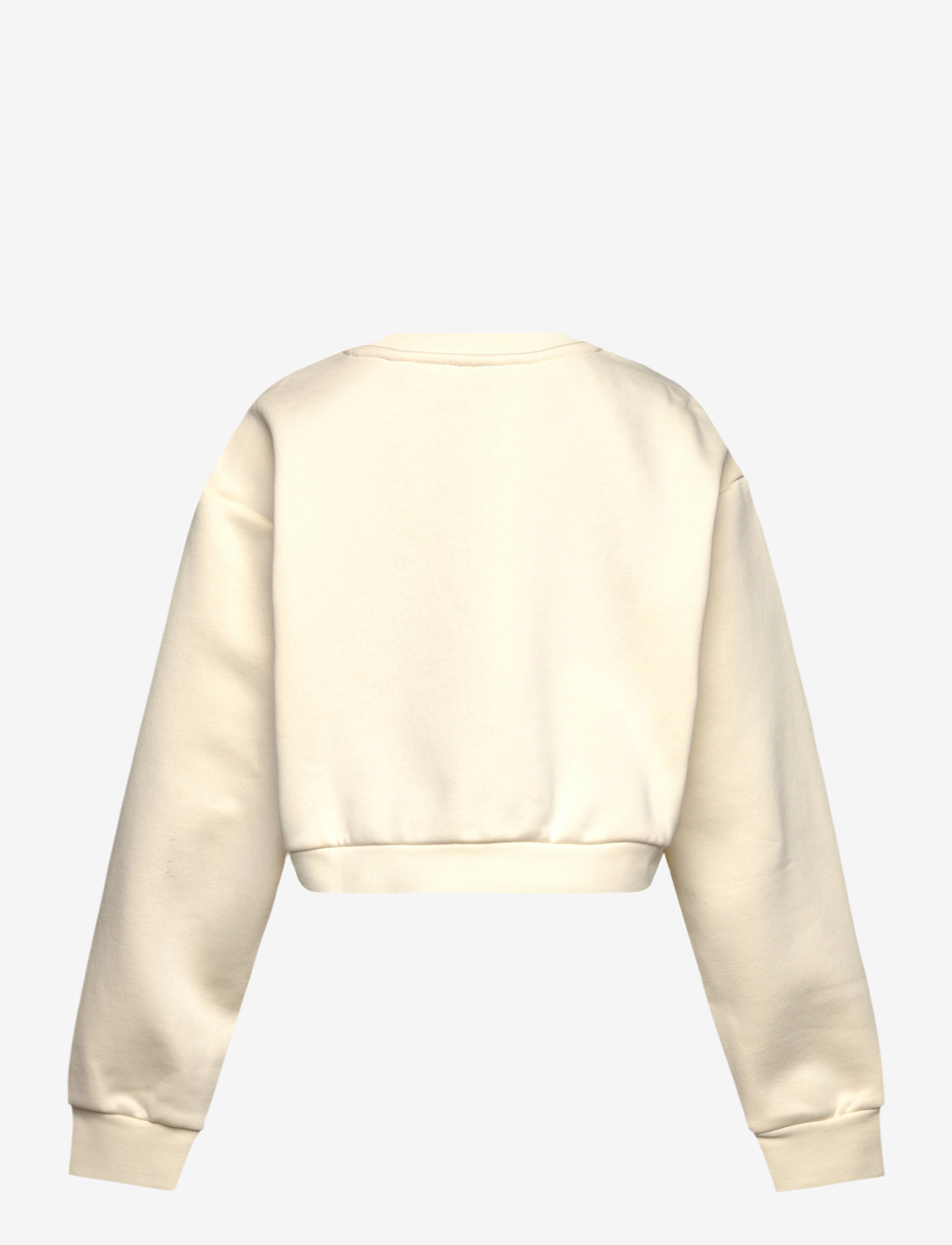 adidas Originals - BOXY CREW - dressipluusid - crewht - 1