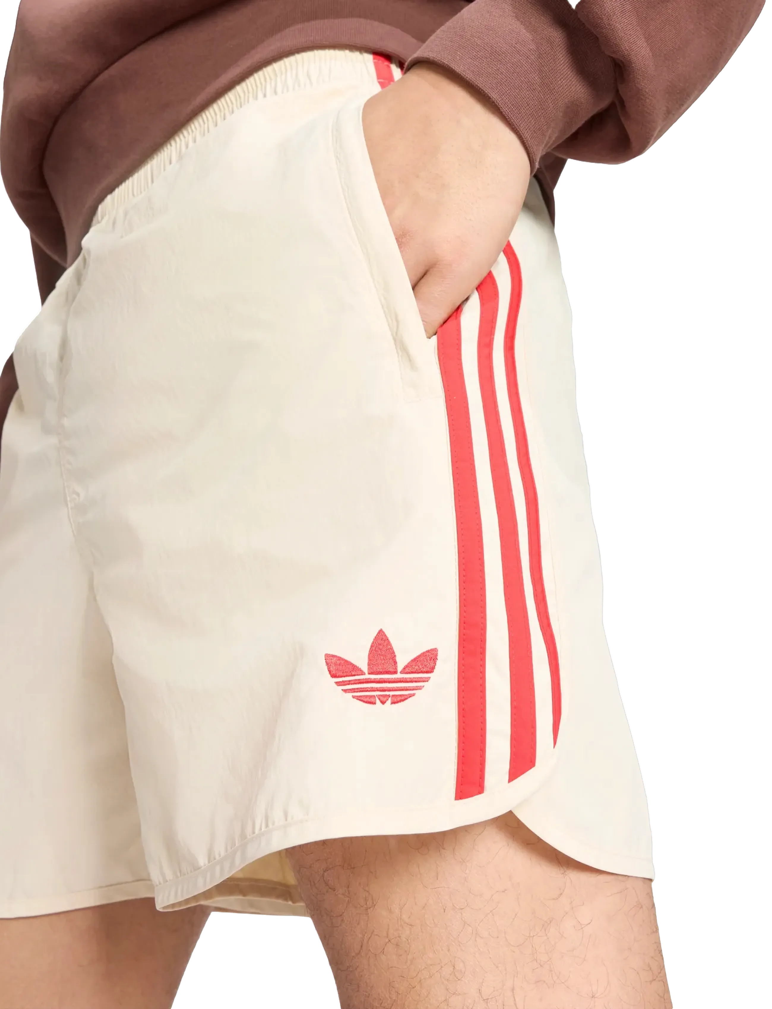 adidas Originals - SPRINTER SHO - träningsshorts - crli/betsca - 3