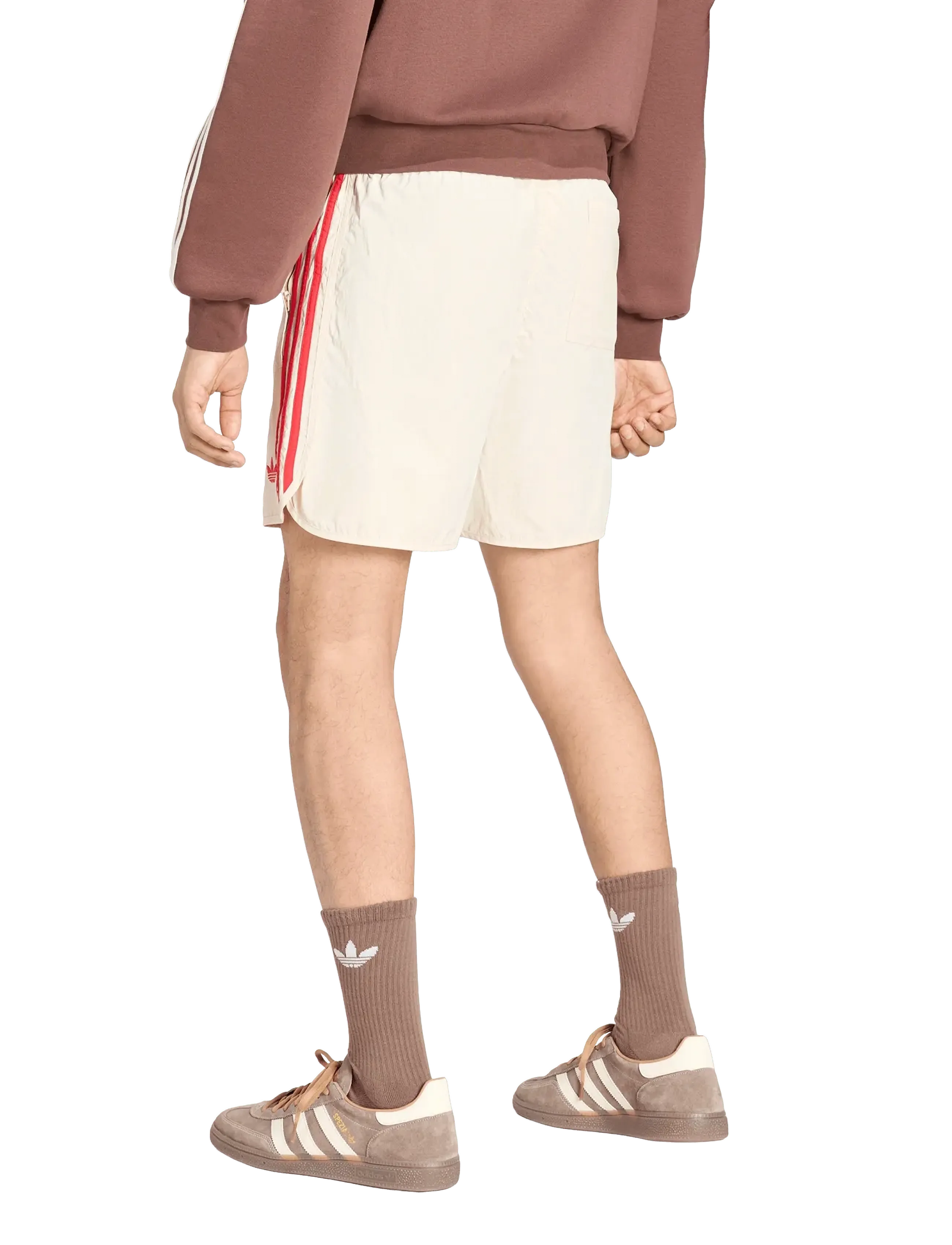 adidas Originals - SPRINTER SHO - träningsshorts - crli/betsca - 5