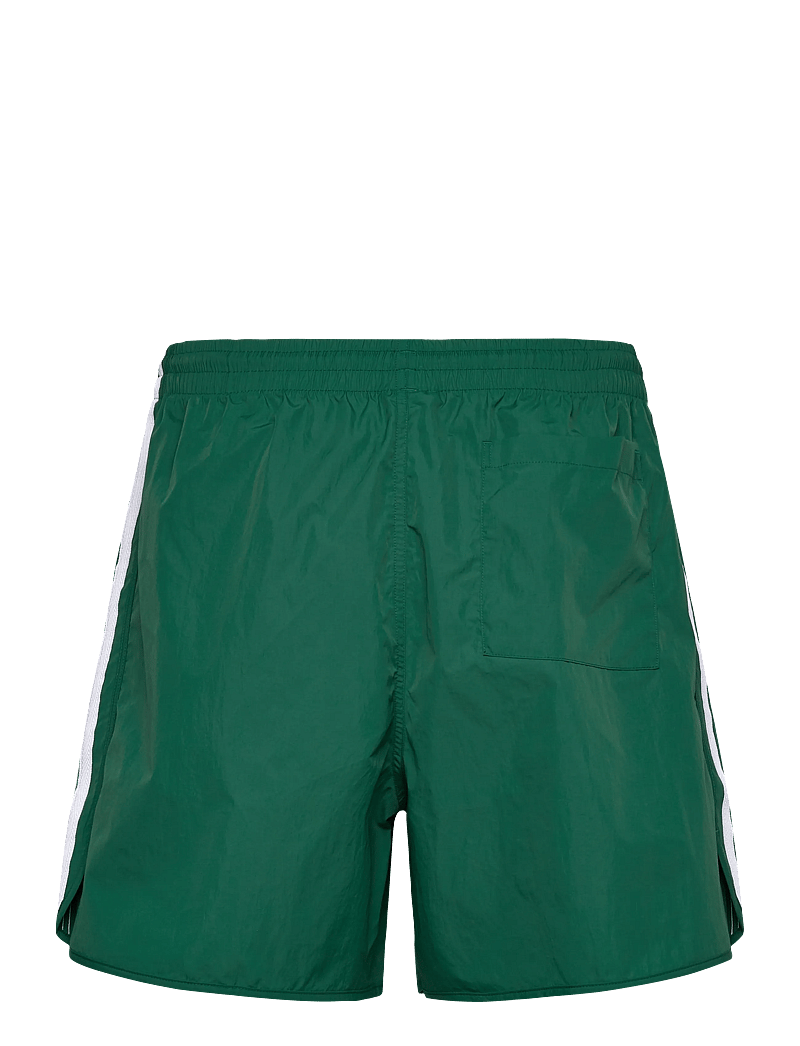 adidas Originals - SPRINTER SHO - freizeit shorts - cgreen - 2