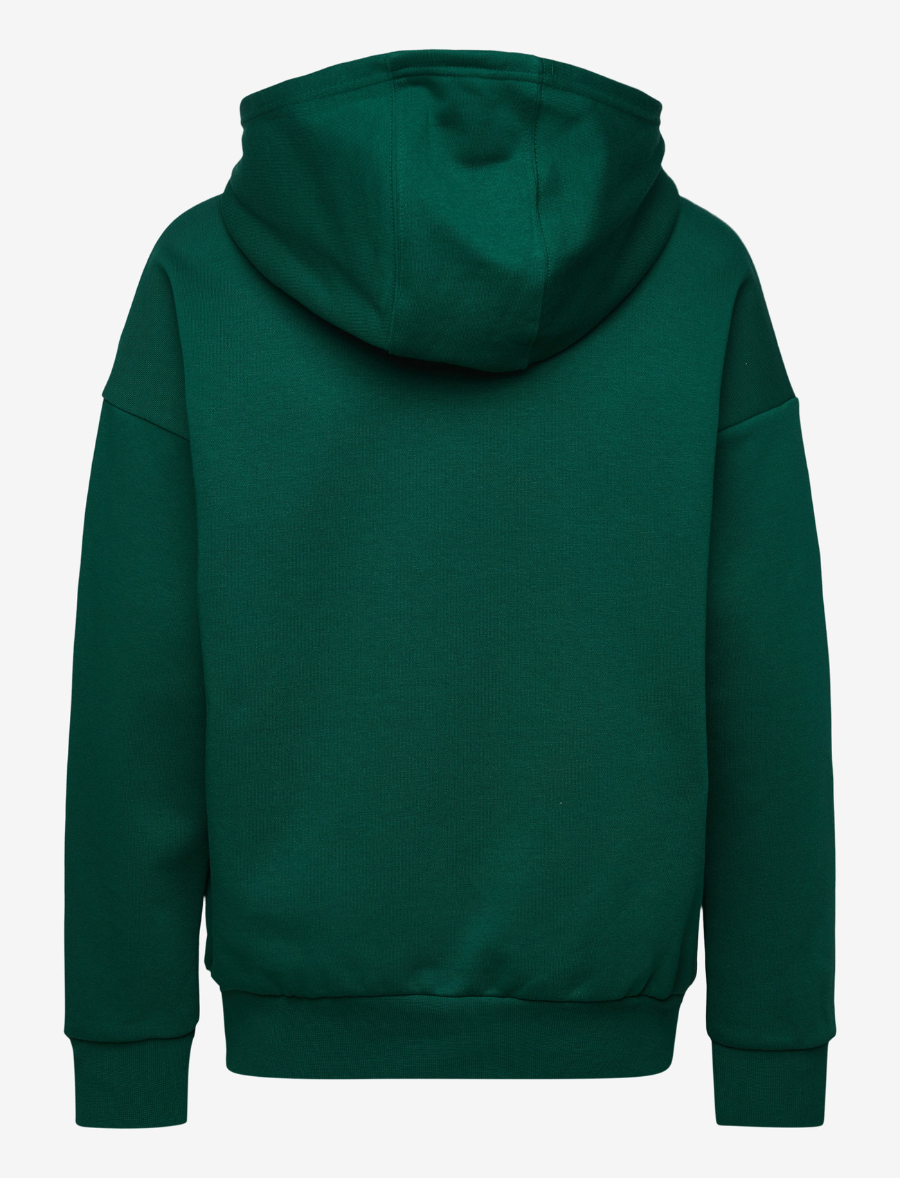 adidas Originals - LOOSE HOODIE FL - hættetrøjer - cgreen - 1