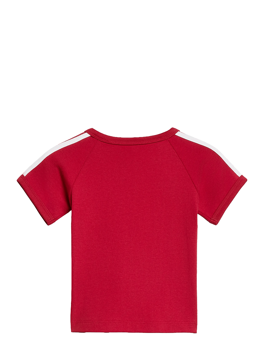 adidas Originals - 3 STRIPE TEE - kortærmede t-shirts - tmvire - 1