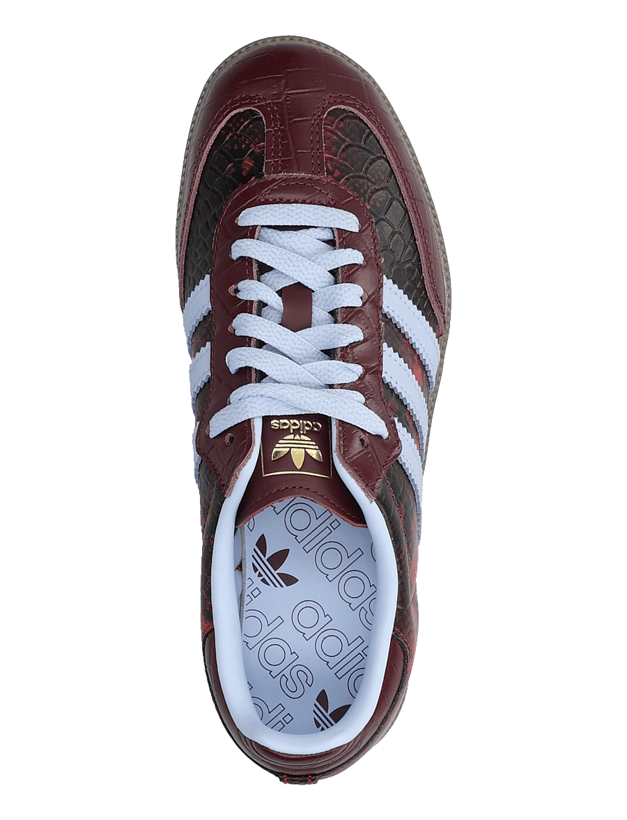 adidas Originals - SAMBA OG W - tennised - maroon/bludaw/goldmt - 3
