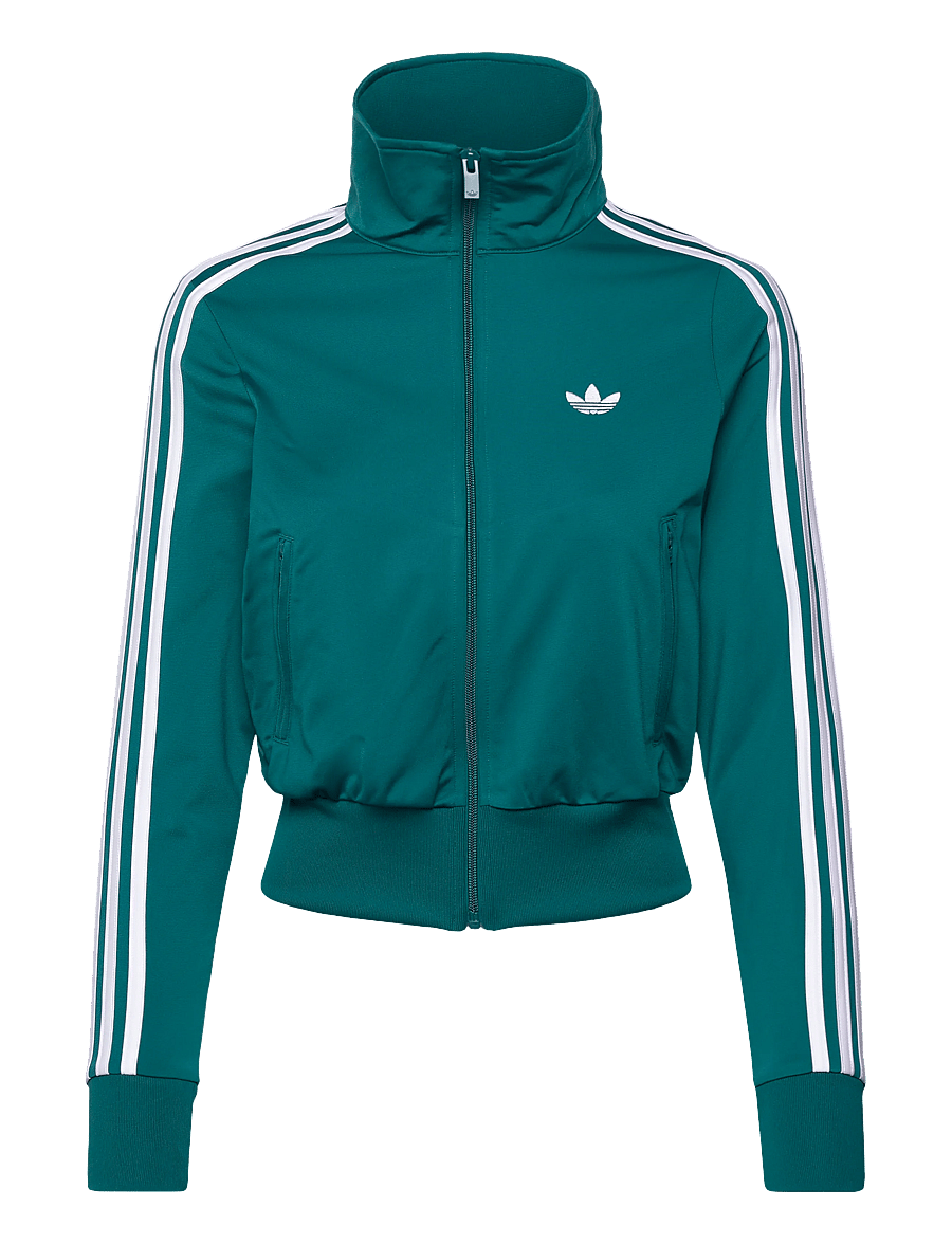 adidas Originals - Firebird CLASSIC TT_ - kapuutsiga dressipluusid - legtea/white - 1