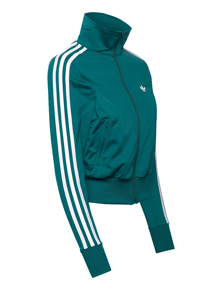 adidas Originals - Firebird CLASSIC TT_ - kapuutsiga dressipluusid - legtea/white - 3