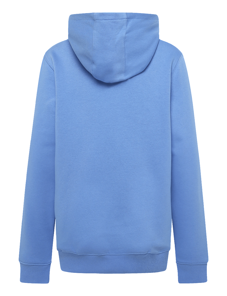 adidas Originals - REGULAR HOODIE - kapuutsiga dressipluusid - blufus - 1