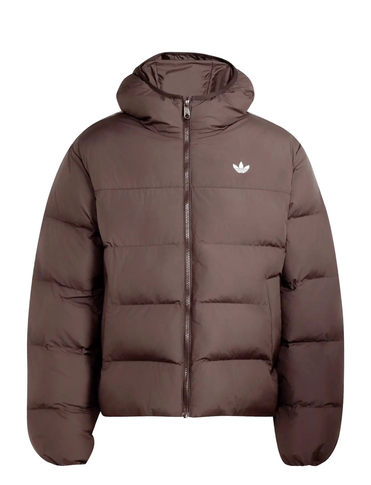 adidas Originals REGEN JKT - Dunjakker - AUCO / brown