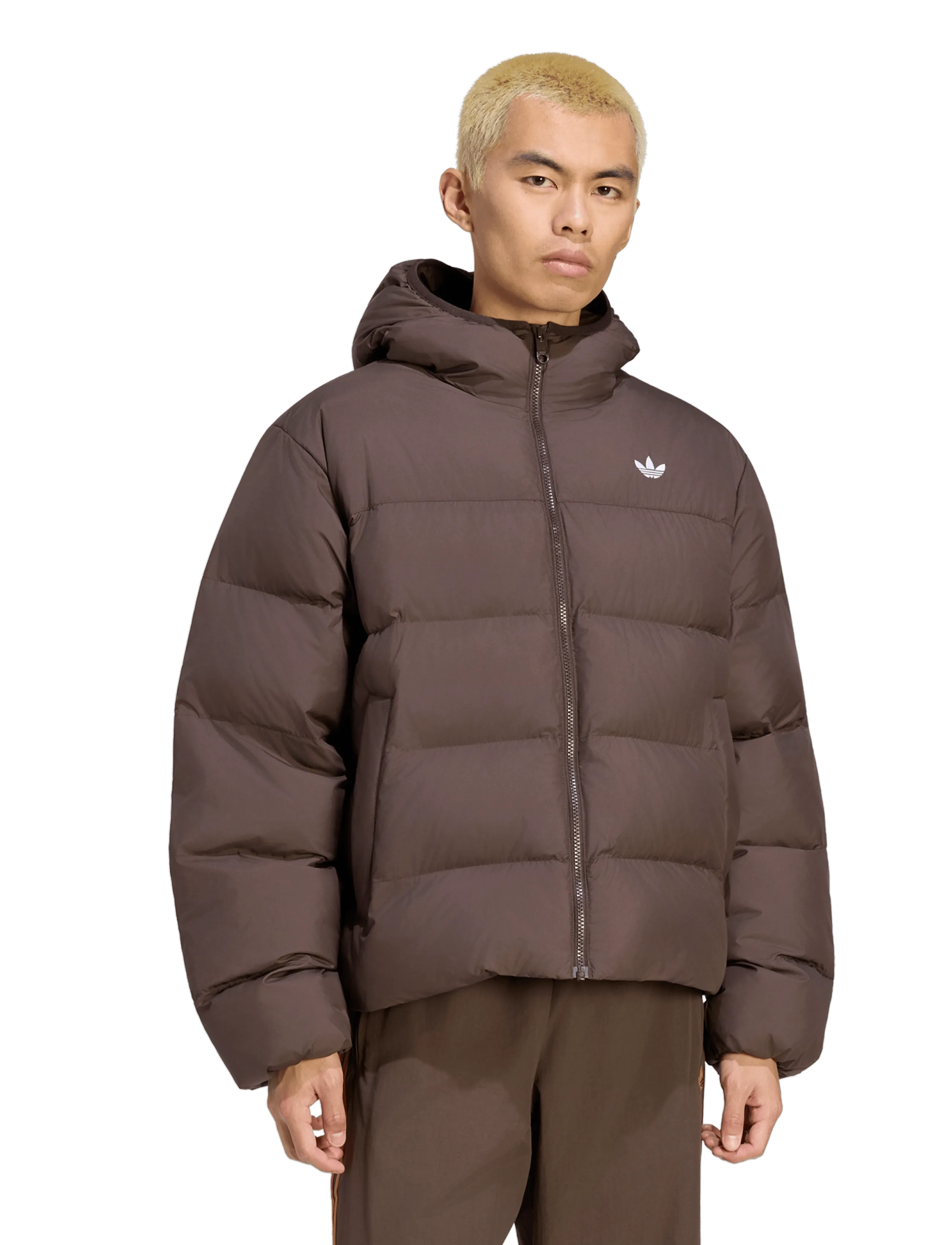 adidas Originals REGEN JKT - Festival-Outfits - AUCO / brown
