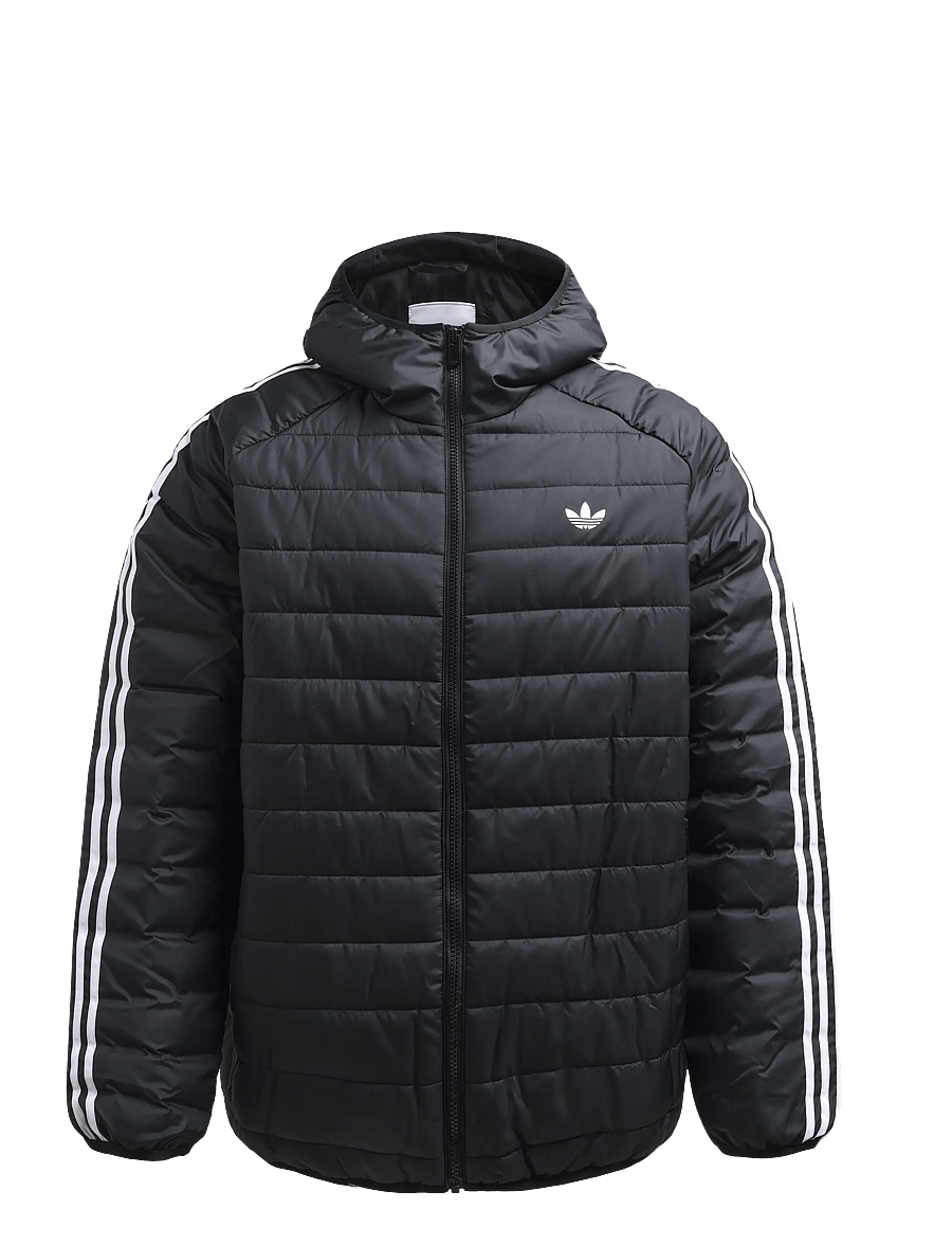 adidas Originals - PADDED JKT - daunenjacken - black - 1