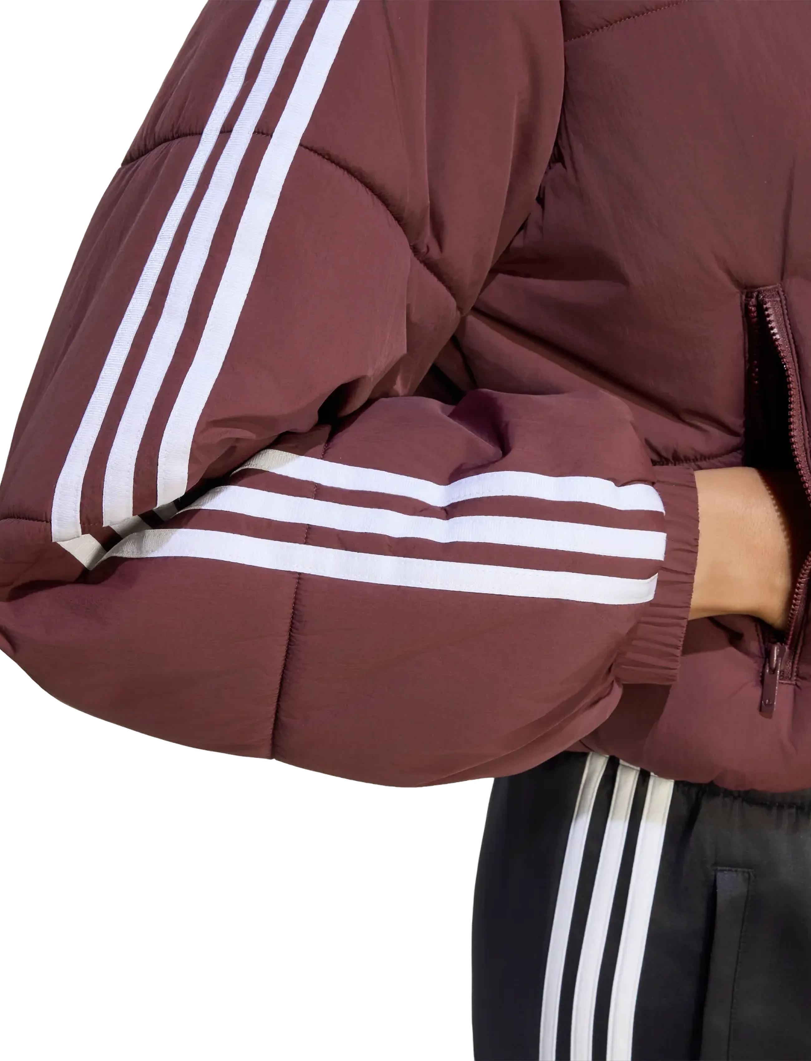 Adidas Originals Vinterjacka 'Adicolor' dam – bild 5