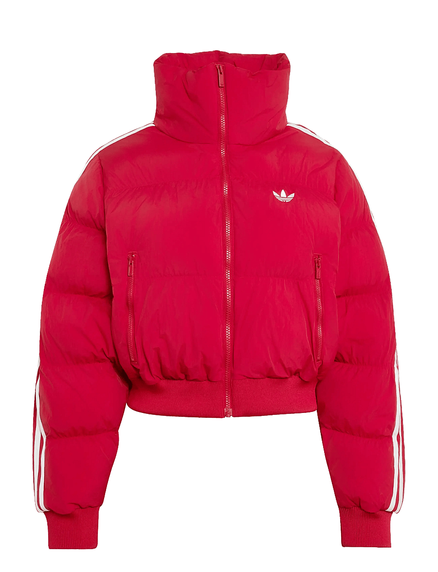 adidas Originals - ADICOLOR JKT - winterjacken - tmvire - 1