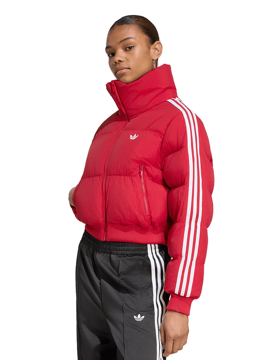 adidas Originals - ADICOLOR JKT - winterjacken - tmvire - 2