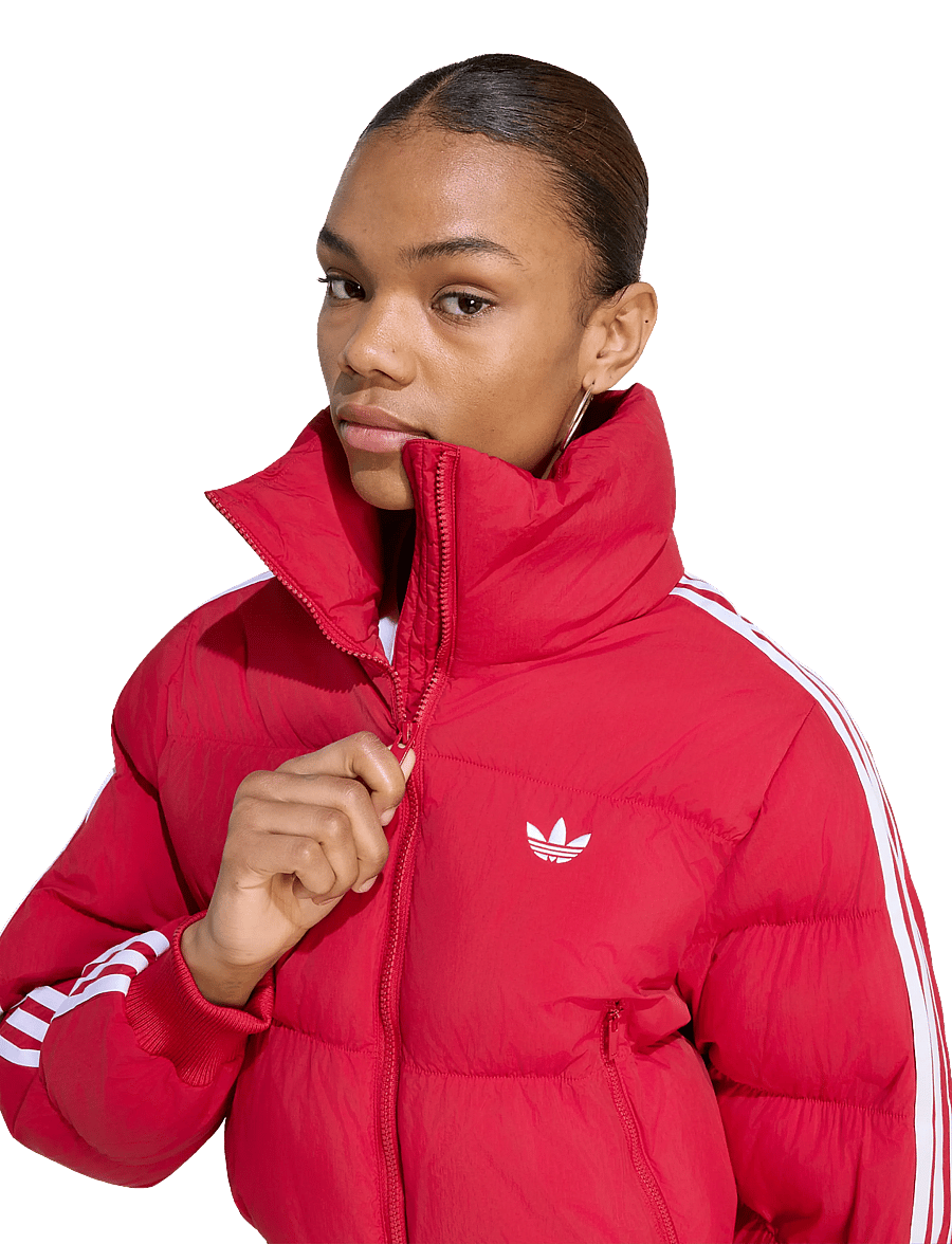 adidas Originals - ADICOLOR JKT - winterjacken - tmvire - 3