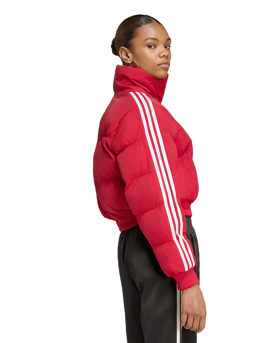 adidas Originals - ADICOLOR JKT - winterjacken - tmvire - 5