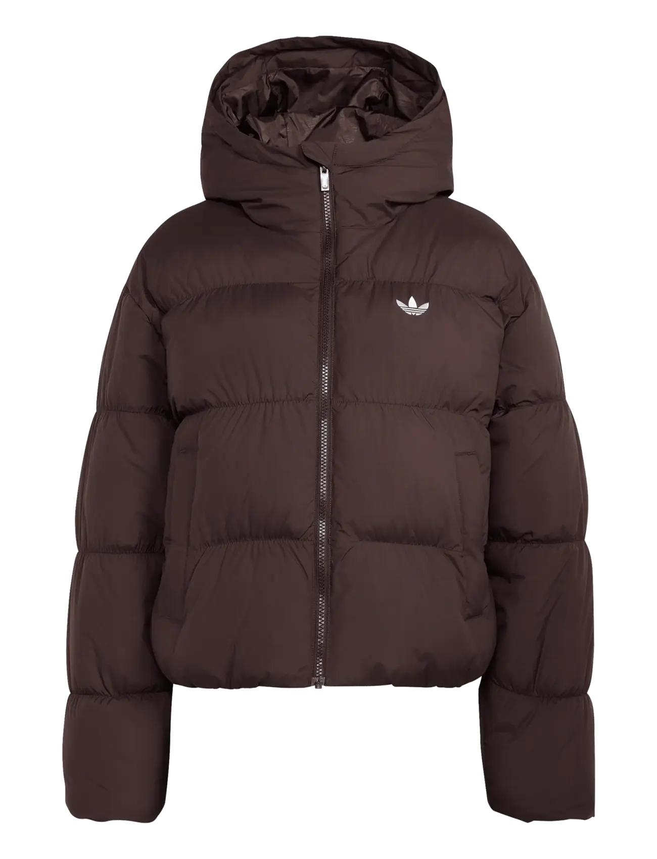 adidas Originals HD JKT - Daunenjacken - AUCO / brown