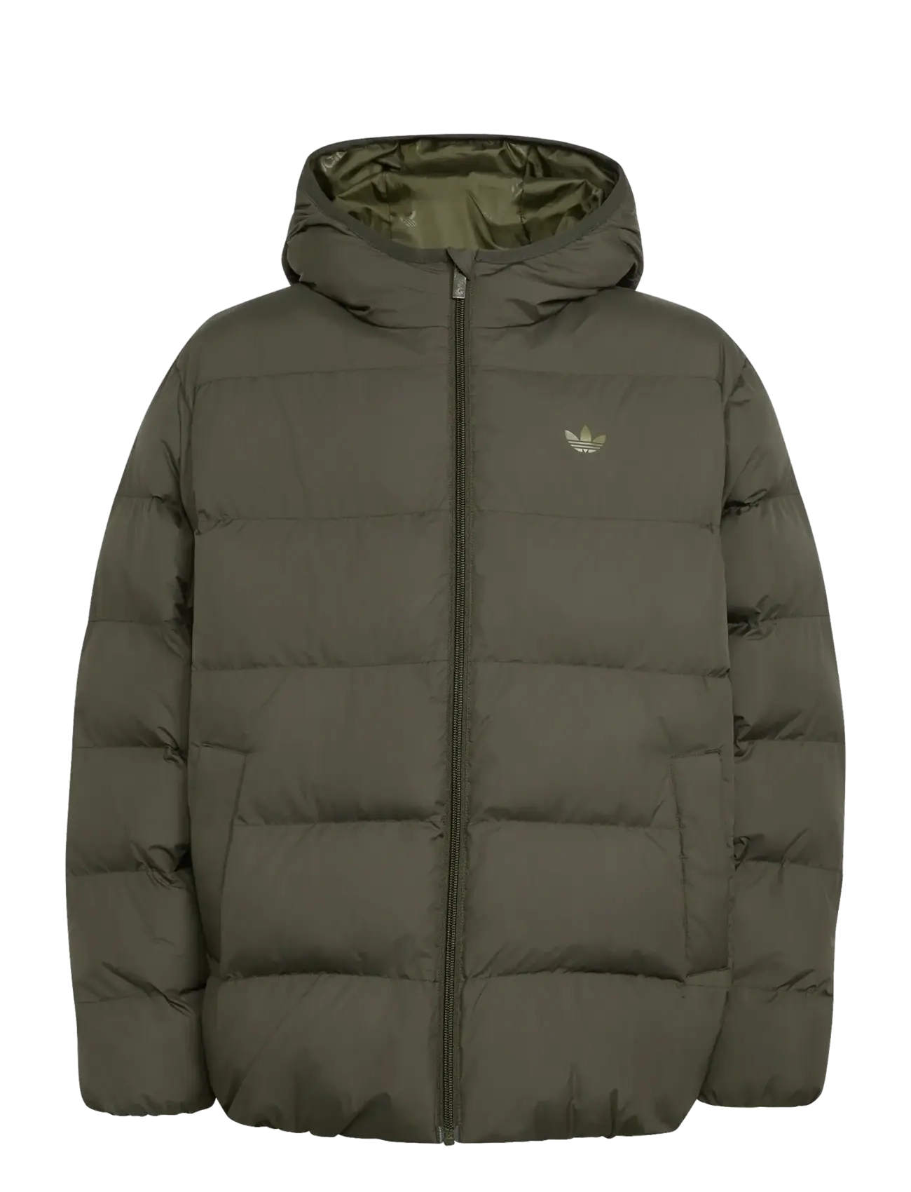 adidas Originals REGULAR PUFFER - Jackets - NGTCAR / khaki/green