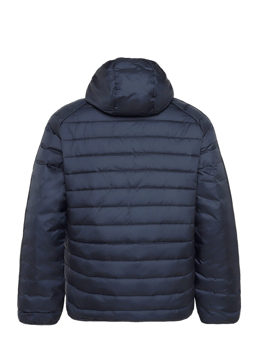 adidas Originals - PADDED JKT - dunjakker - ntgrey - 2