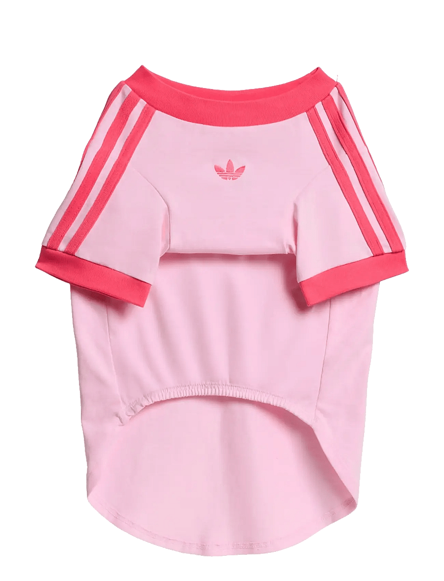 adidas Originals - PET CALI TEE - lemmikloomadele - clpink/reapnk - 0