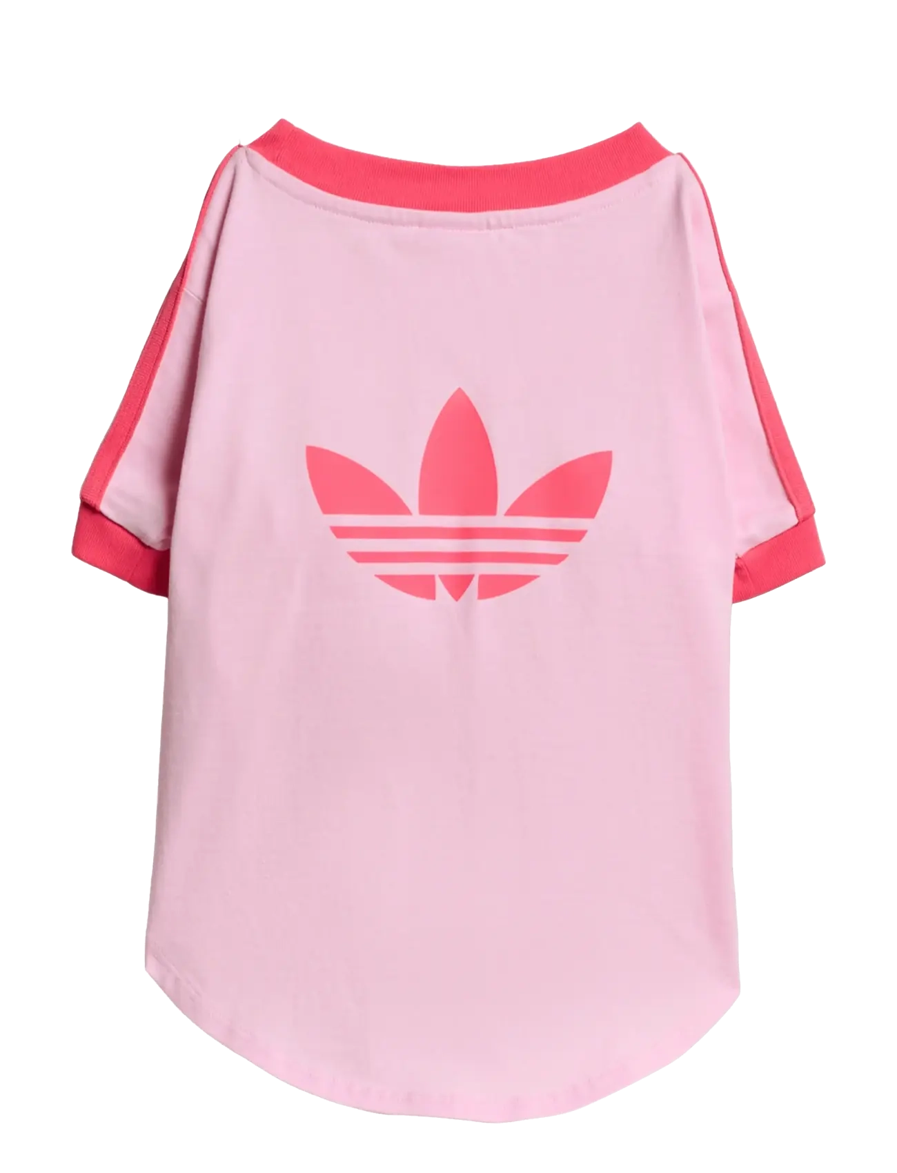 adidas Originals - PET CALI TEE - til kæledyrene - clpink/reapnk - 1