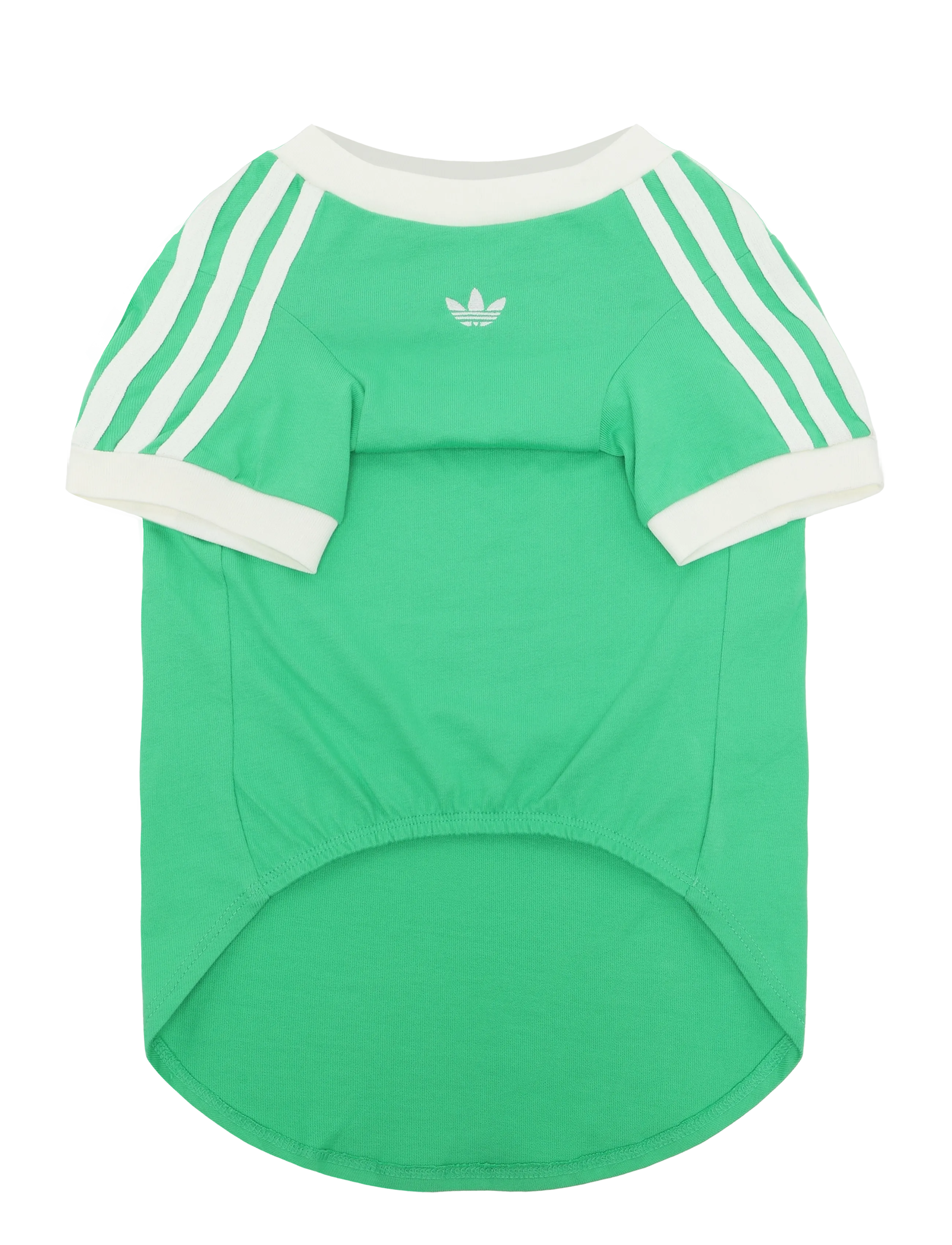 adidas Originals PET CALI TEE - View all - FLALIM/OWHITE / green