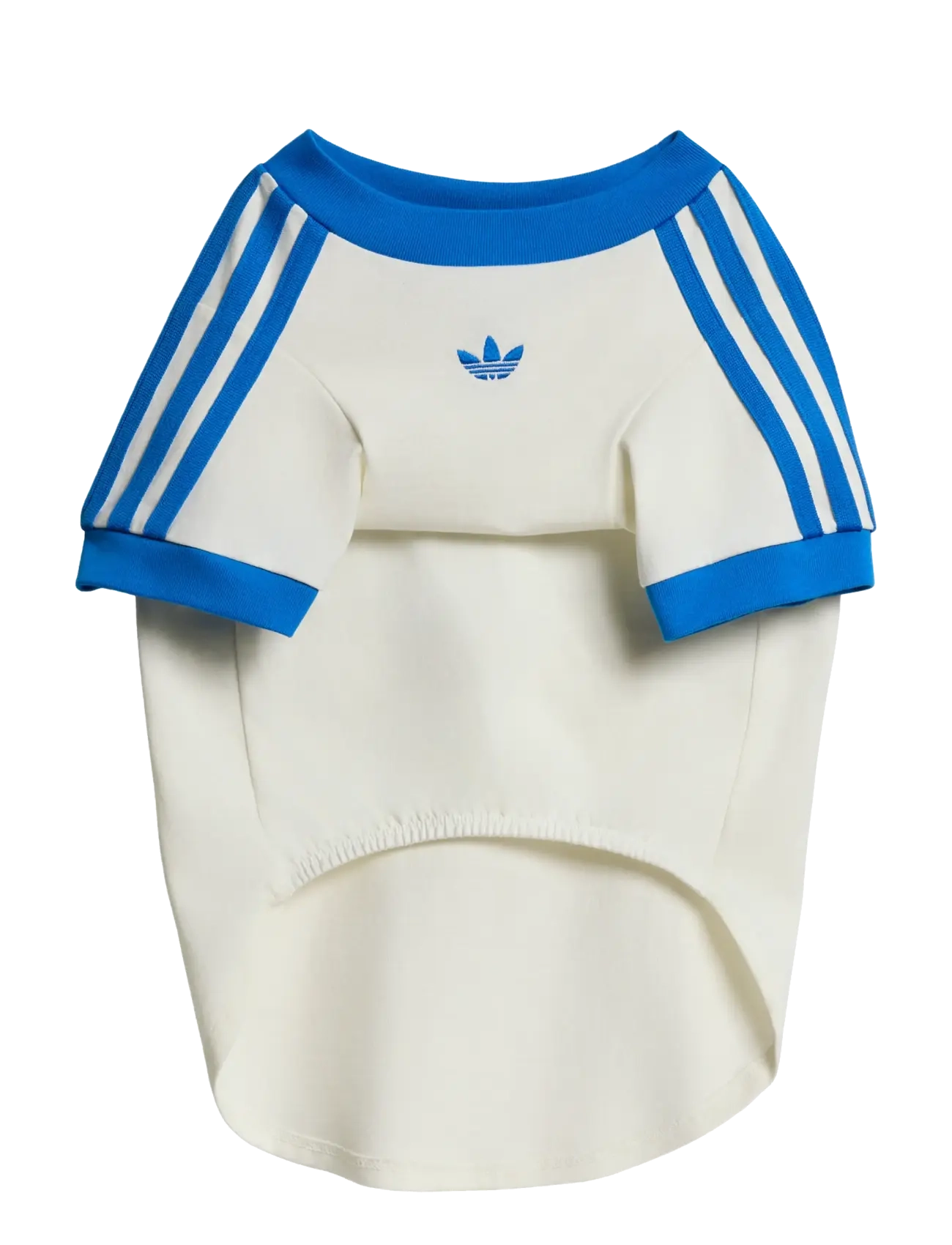 adidas Originals PET CALI TEE - Für die Haustiere - OWHITE/BLUBIR / cream