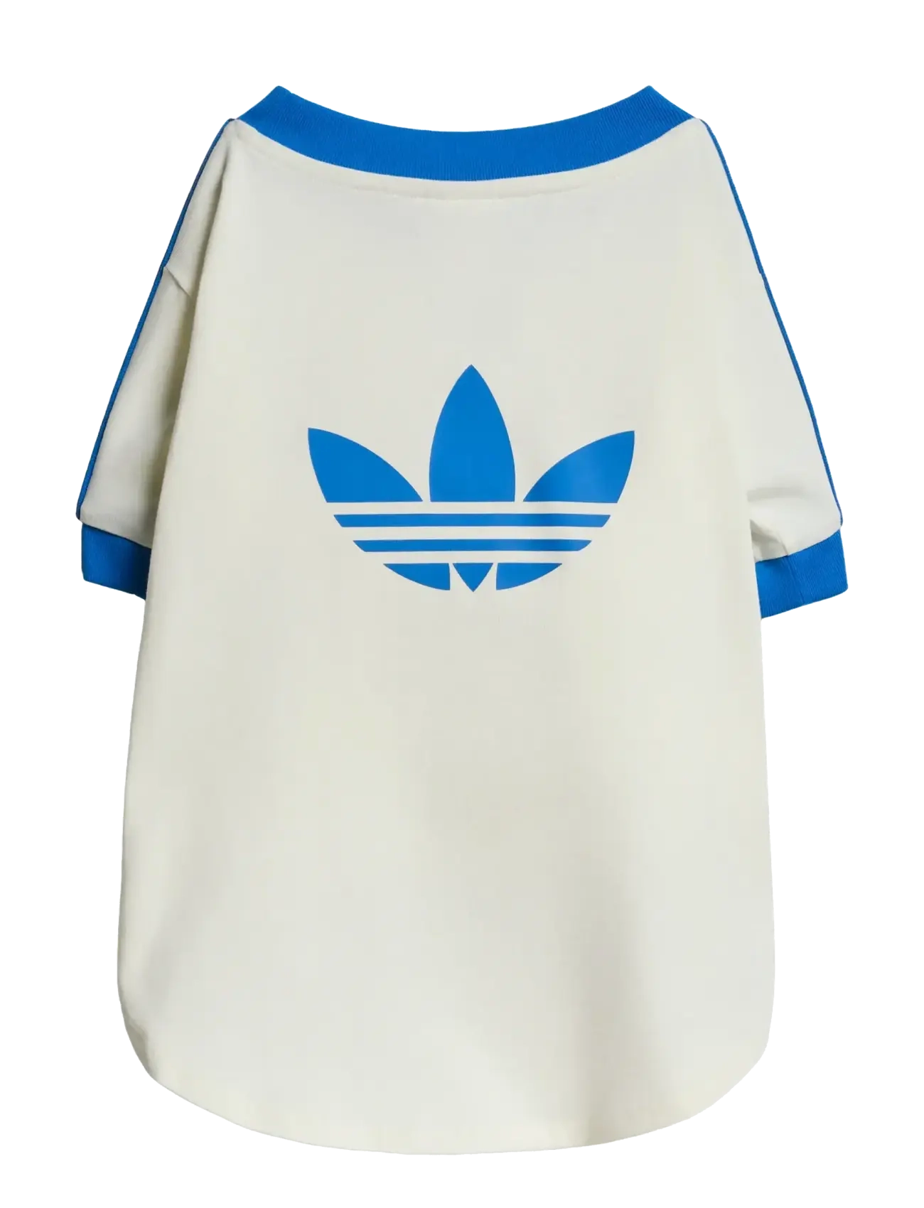 adidas Originals - PET CALI TEE - for pets - owhite/blubir - 2