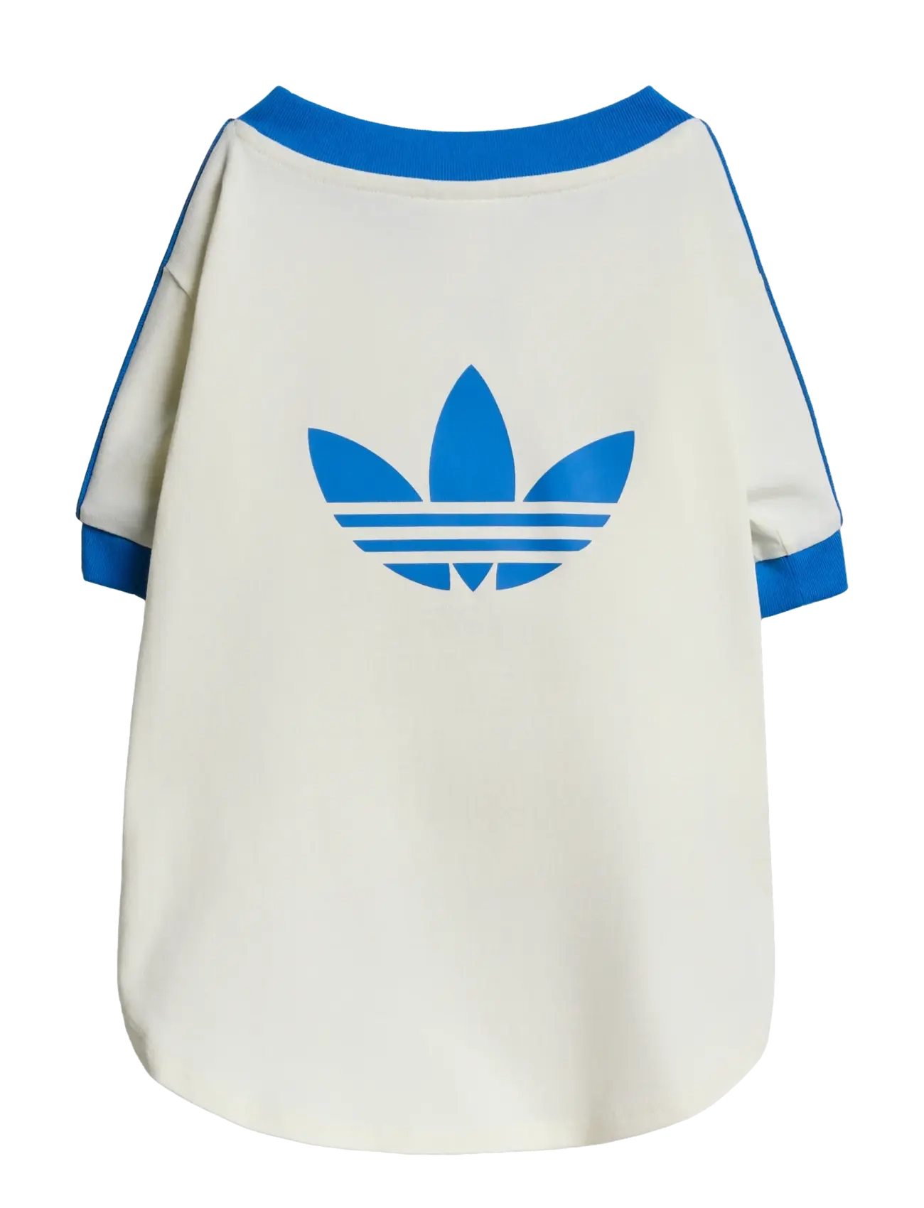 adidas Originals - PET CALI TEE - till husdjuren - owhite/blubir - 1