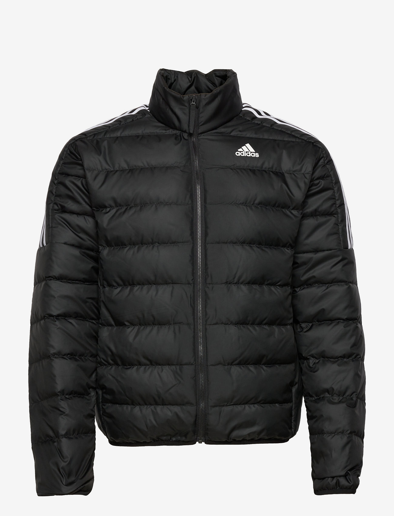 adidas Sportswear - Essentials Down Jacket - padded jackets - black - 0