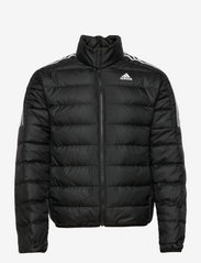 adidas Sportswear - Essentials Down Jacket - talvejoped - black - 0