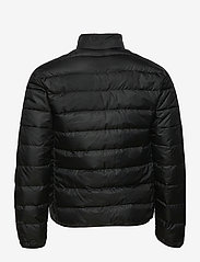 adidas Sportswear - Essentials Down Jacket - talvitakit - black - 1