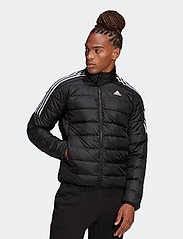 adidas Sportswear - Essentials Down Jacket - vinterjakker - black - 2
