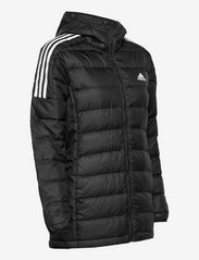 adidas Sportswear - Essentials Light Down Hooded Parka - talvejoped - black - 3